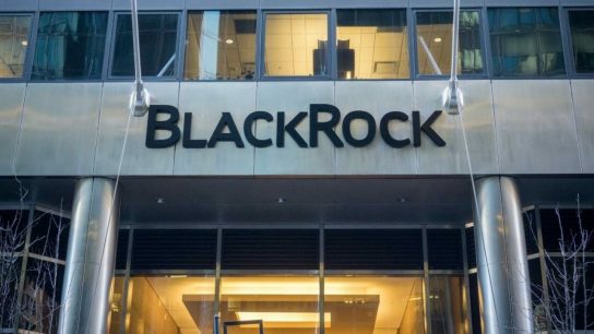 BlackRock’tan Larry Fink: Bitcoin ‘MeÅru Finansal AraÃ§tÄ±r’